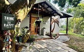 Palm Tree Cottage Felixton